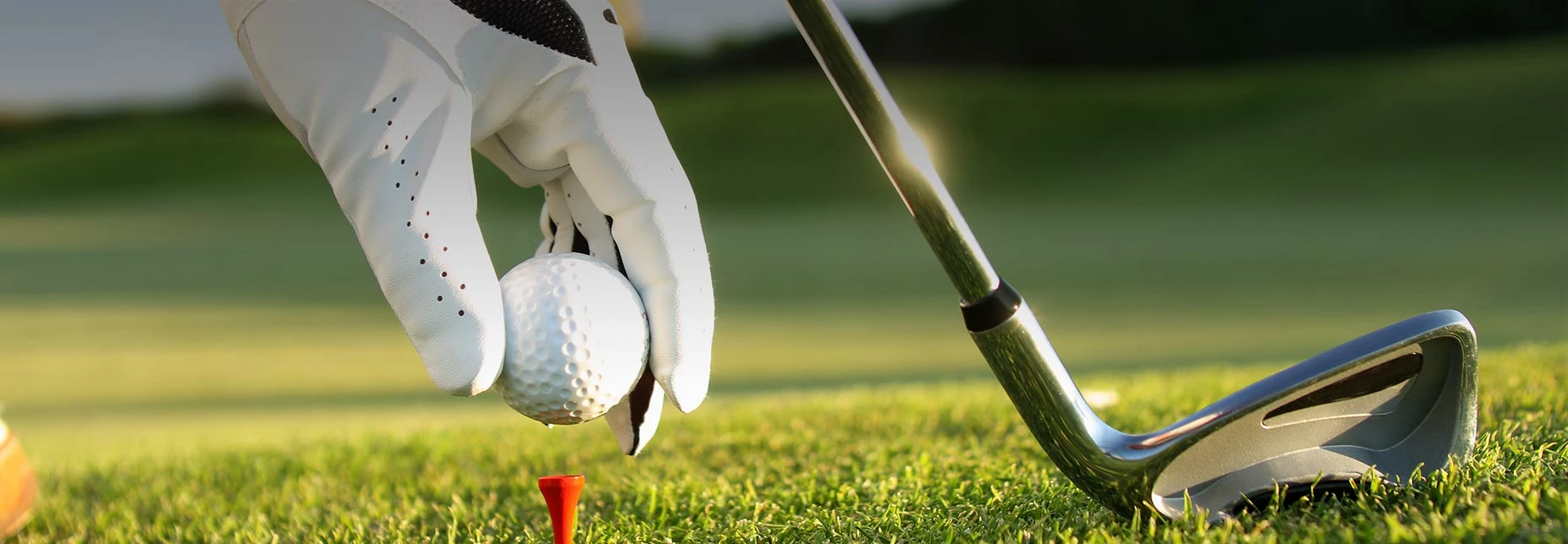 Golf Clubs Sales Store -Golf Clubs Sales Store 3